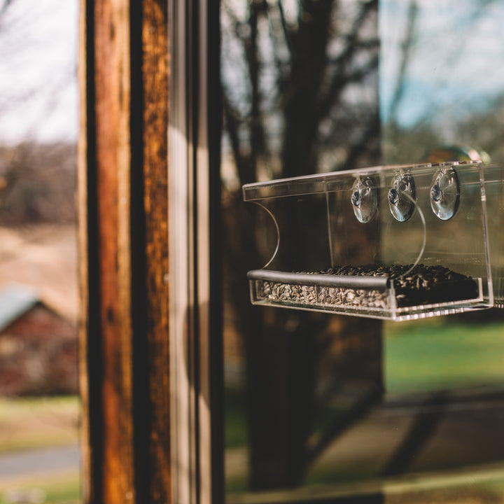Perch – Window Bird Feeder