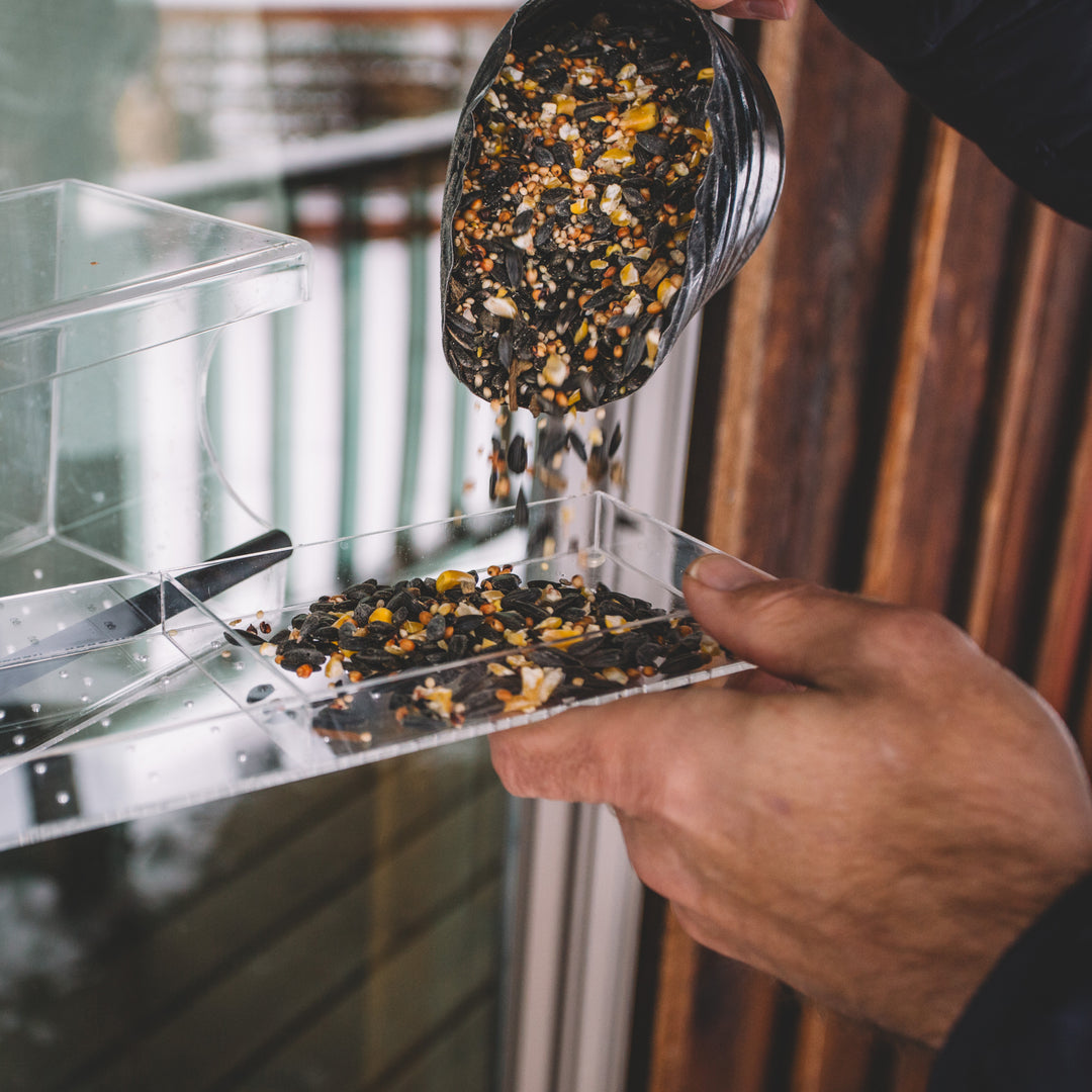 Perch – Window Bird Feeder
