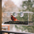 Perch – Window Bird Feeder